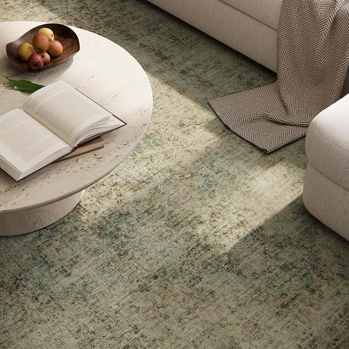 Machine Washable Area Rugs for Entryway: Door Mat Indoor Entrance 2x3 Boho Rug Vintage Distress Non-Slip Low Pile Soft Throw Carpet for High-Traffic Areas Kitchen, Hallway, Farmhouse Decor
