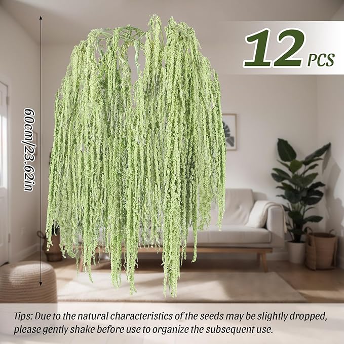 Suncalla 12 Pcs Light Green Spring Natural Dried Amaranthus Hanging Flowers Amaranthus Artificial Flowers for Wedding Arch Bouquet Floral Garland Wall Home Decoration (23 Inch)