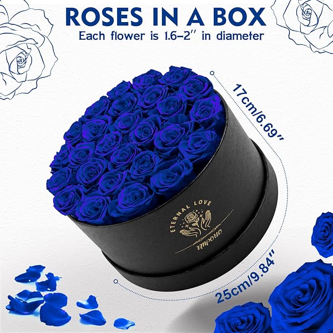 Impouo Forever Flowers, 27 Roses in A Box, Real Preserved Roses, Birthday Gift for Women, Mother's Day, Anniversary Blue Rose
