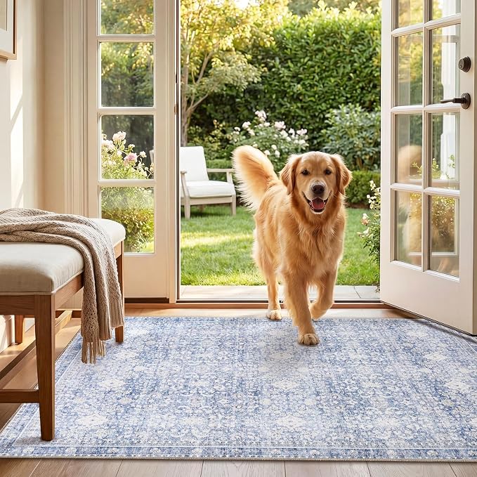 Sasttie 3x5 Rug, Ultra-Soft Washable Rug, Low Pile Foldable Thin Carpets with Non-Slip Backing, Skin-Friendly Stain Resistant Carpet for Living Room, Bedroom, Kitchen, Dorm, 3x5, Light Blue