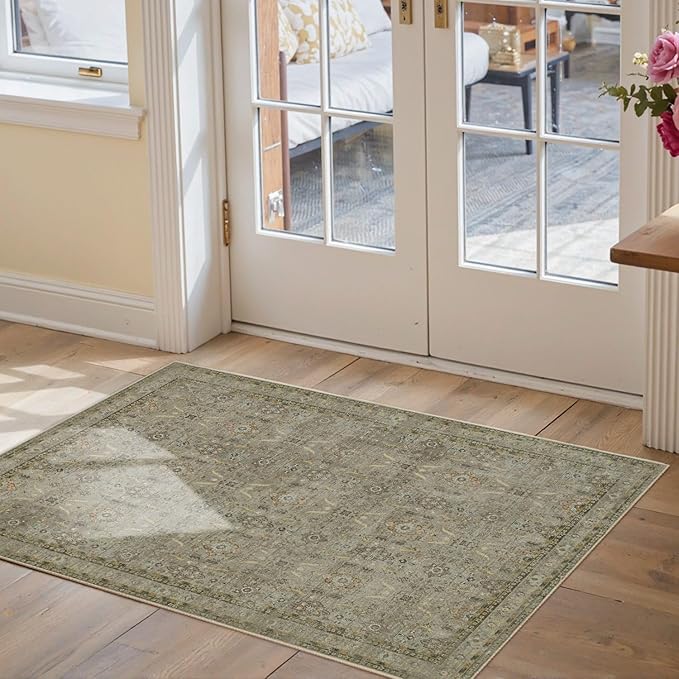 Rugxara Entryway Rug Door Mat, Washable Samll 2x3 Rug, Boho Front Door Mat, Non Slip Area Rugs, Low Pile Throw Accent Entry Carpet for Indoor Entrance, Bathroom and Kitchen(Olive/Brown 2x3ft)