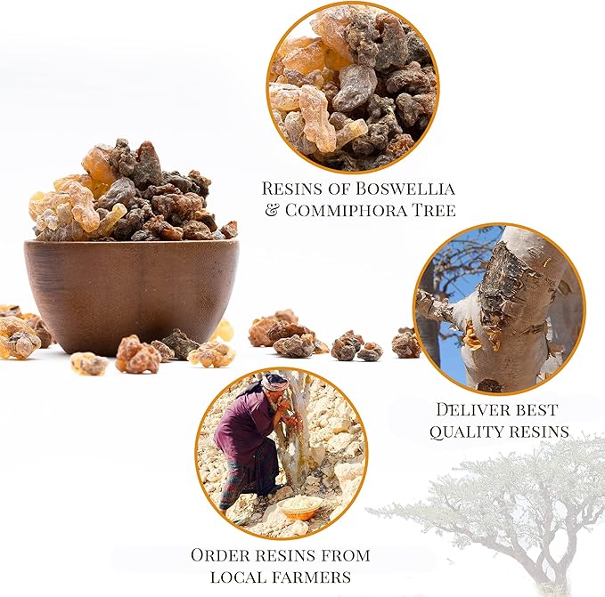 Frankincense and Myrrh Resin by Igneous Products - 4 oz (113.4 Grams) | Biblical Sacred Incense, Gifted to Baby Jesus by the Three Wise Men - 2024 Harvest, Pure Frankincense - Incienso puro de iglesia