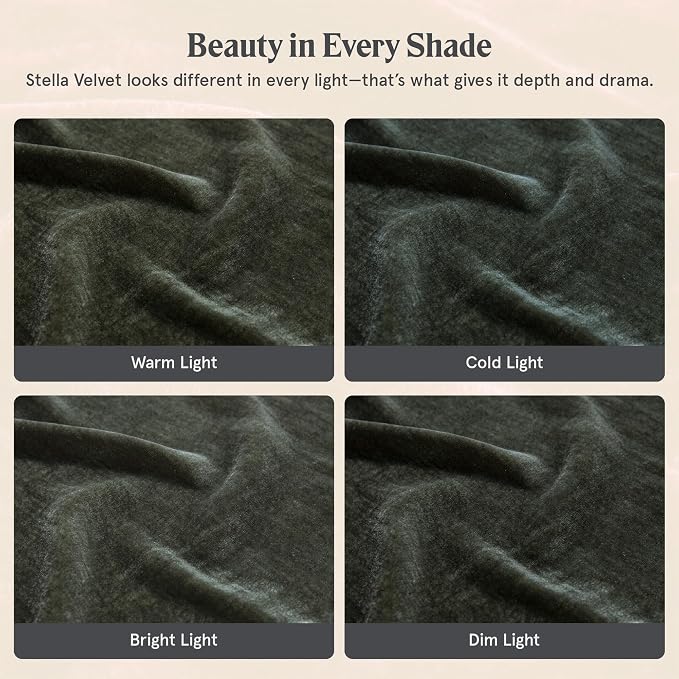 HiEnd Accents Stella Faux Silk Velvet Euro Sham Pillow Cover, 27x27 inch, Fern Green, Romantic Western Modern Traditional Style Luxury Bedding