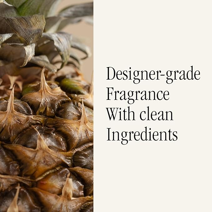 Pura & Tommy Bahama Home Scent Refill - Smart Home Air Diffuser - Premium Fragrance in Every Refill - Household Essential - Diffuser Fragrance - 2 Pack, Pineapple Cilantro