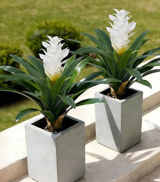 Ivydale Fake Flowers Plants for Outdoors, 2 Pcs 16.93" Bromeliad Artificial Flowers Uv Resistant Realistic Faux Flowers for Outdoor Planters Outside Porch Patio Yard Garden Indoor Decoration(White)