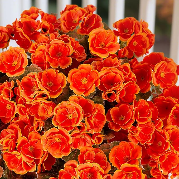 Ammyoo Fake Fall Flowers Artificial for Outdoors Decoration, 6 Bundles Faux Geranium Silk Flower Outside UV Resistant No Fade Artificial Floral for Home Garden Balcony Indoor Table Centerpieces Decor