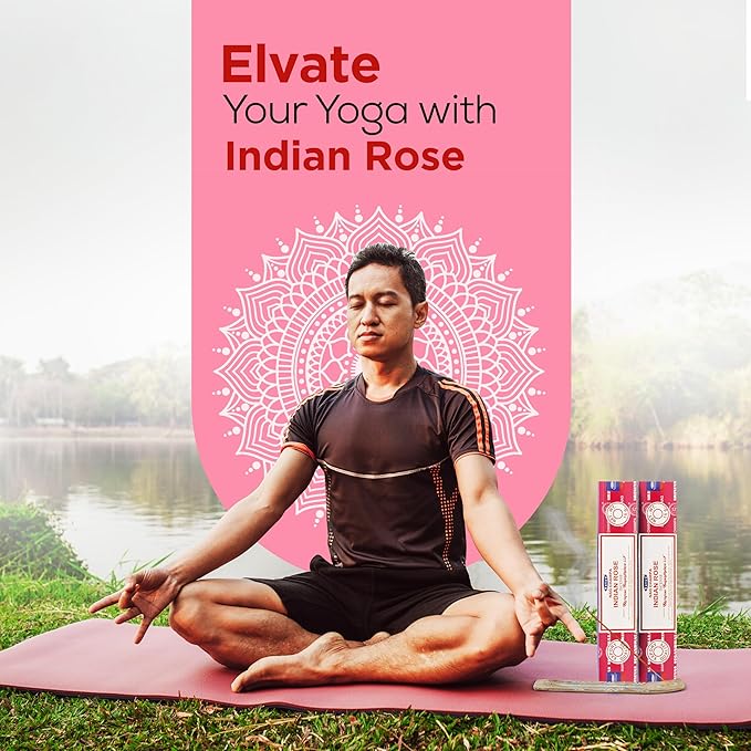 Satya Indian Rose Incense Sticks 180 gm (15GM X 12 Pack) from Satya Sai Baba Nag Champa and Raajsee Incense Sticks Holder Bundle, Free from Chemicals,Natural Insenses