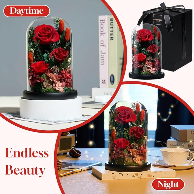 Preserved Roses,Forever Fresh Flowers 7.48in,Gift for Women,Mom,Grandma,Wife,Girlfriend,Sister,and Daughter Perfect for Birthday,Mother’s Day,Valentine’s Day (True Romance1)