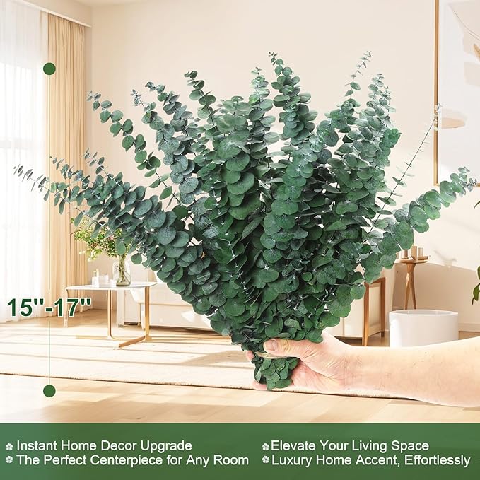 60 Stems Preserved Real Eucalyptus Bunches, Lifelike Natural Green Eucalyptus Leaves for Shower, Maintenance-Free Dried Florals for Vase Fillers, Wedding Centerpieces, Bathroom Home Office Decor