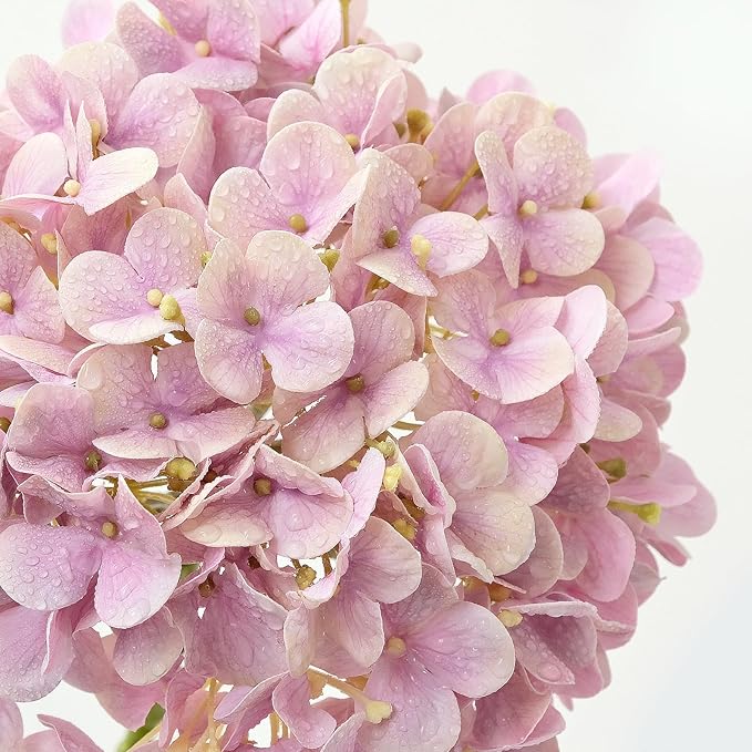 ZYTUYO 4PCS 20'' Real Touch Hydrangea Artificial Flowers Light Pink Champagne Faux Hydrangeas for Spring Porch Home Wedding Floral Arrangements Outdoor Party Baby Shower Table Centerpiece Xmas Decor
