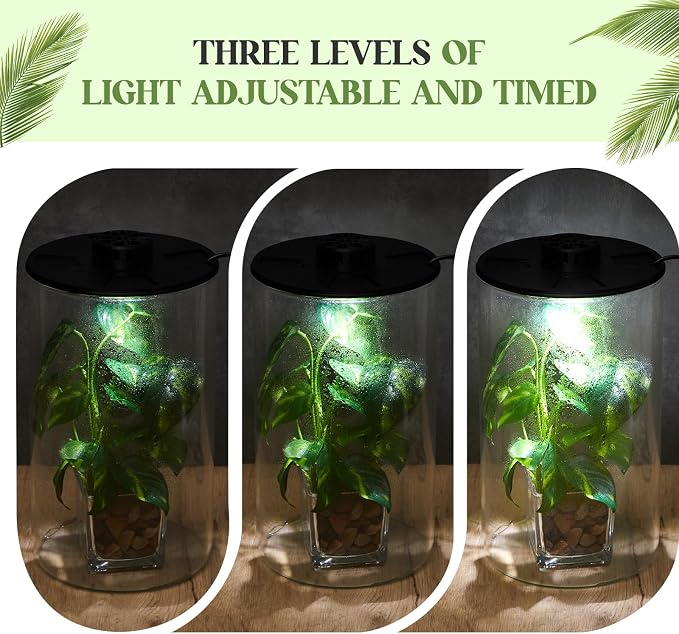 Maxdot Glass Plant Terrarium Kit with LED Grow Light, Desk Terrarium for Venus Fly Trap, Succulents, Moss & Miniature Garden, Borosilicate Glass Desktop Planter for Home Office(9.8 x 5.9 Inch)