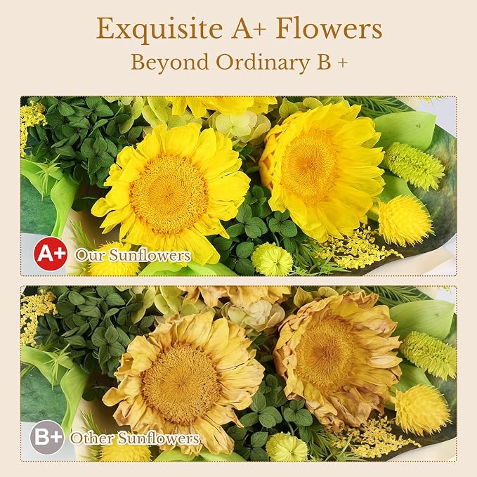 Forever Flowers for Delivery - Preserved Sunflower Bouquet with Gift Box & Greeting Card, Real Eternal Flowers, Gifts for Women, Mom, Mother's Day, Birthday, Anniversary, Graduation