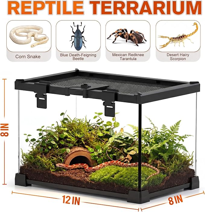 12"x8"x8" Reptile Terrarium, Escape-Proof Glass Terrestrial Vivarium for Hatchling Snakes Such as Corn Snakes, with Escape-Proof Lock & Feeding Hatch