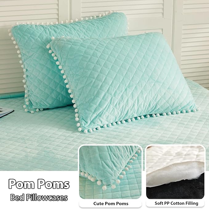 LIFEREVO Luxury Plush Shaggy Duvet Cover Set, Soft Velvet Fluffy Furry Duvet Cover Set(1 Faux Fur Fuzzy Comforter Cover + 1 Pom-poms Pillow Sham) Bedding Set, Zipper Closure(Twin/Twin XL,Ombre Aqua)