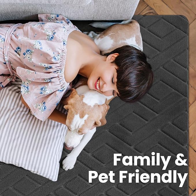 Macgace Ultra Soft Dark Grey Area Rug for Bedroom, 4x6 Modern Geometric Shag Rugs with Nonslip Backing for Living Room, Washable Fuzzy Carpet for Cozy Kids Room Nursery