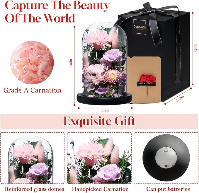 Preserved Roses,Forever Fresh Flowers 7.48in,Gift for Women,Mom,Grandma,Wife,Girlfriend,Sister,and Daughter Perfect for Birthday,Mother’s Day,Valentine’s Day (Sweetheart Carnation4)