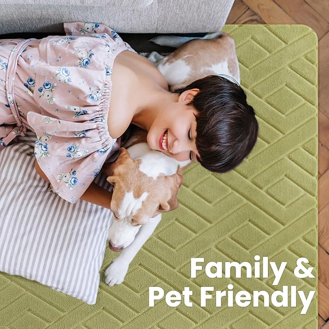 Macgace Ultra Soft Green Area Rug for Living Room, 5x7 Modern Geometric Shag Rugs with Nonslip Backing for Bedroom, Washable Fuzzy Carpet for Cozy Kids Room Nursery