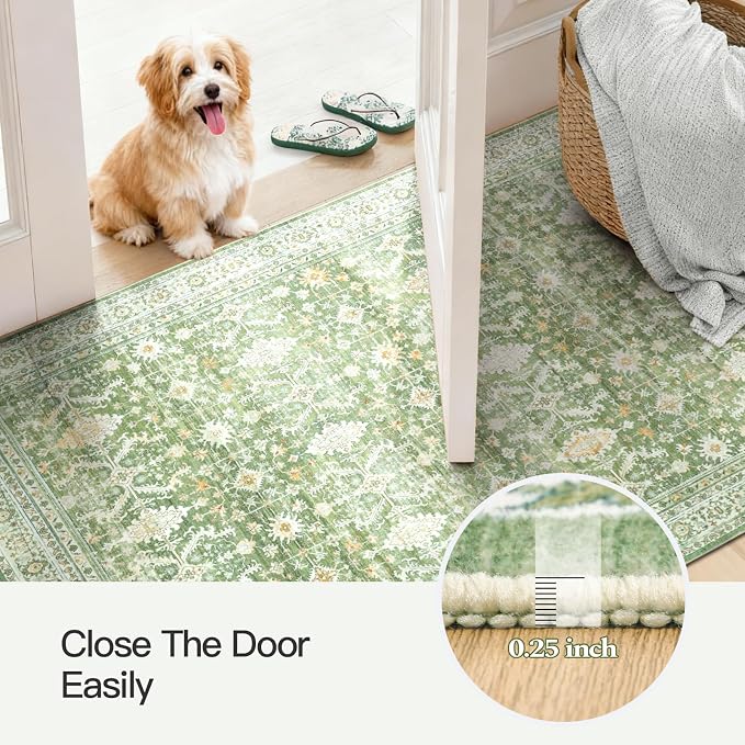 Lofus 3x5 Area Rug for Entryway, Light Green Non Slip Area Rugs for Kitchen, Washablee Soft Rugs for Bedroom, Living Room, Tool Room Nursery Kids Room Decor