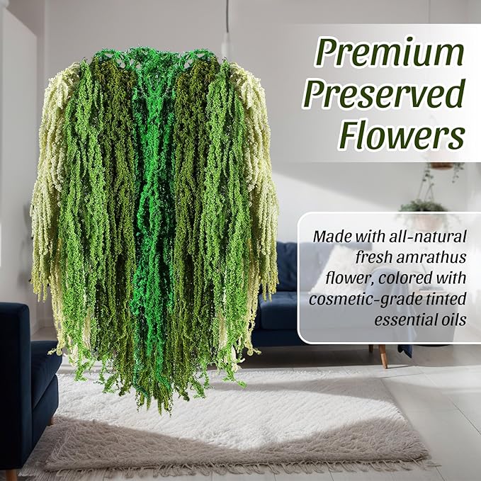 Suncalla 12 Pcs Multi Green Spring Natural Dried Amaranthus Hanging Flowers Amaranthus Artificial Flowers for Wedding Arch Bouquet Floral Garland Wall Home Decoration (23 Inch)