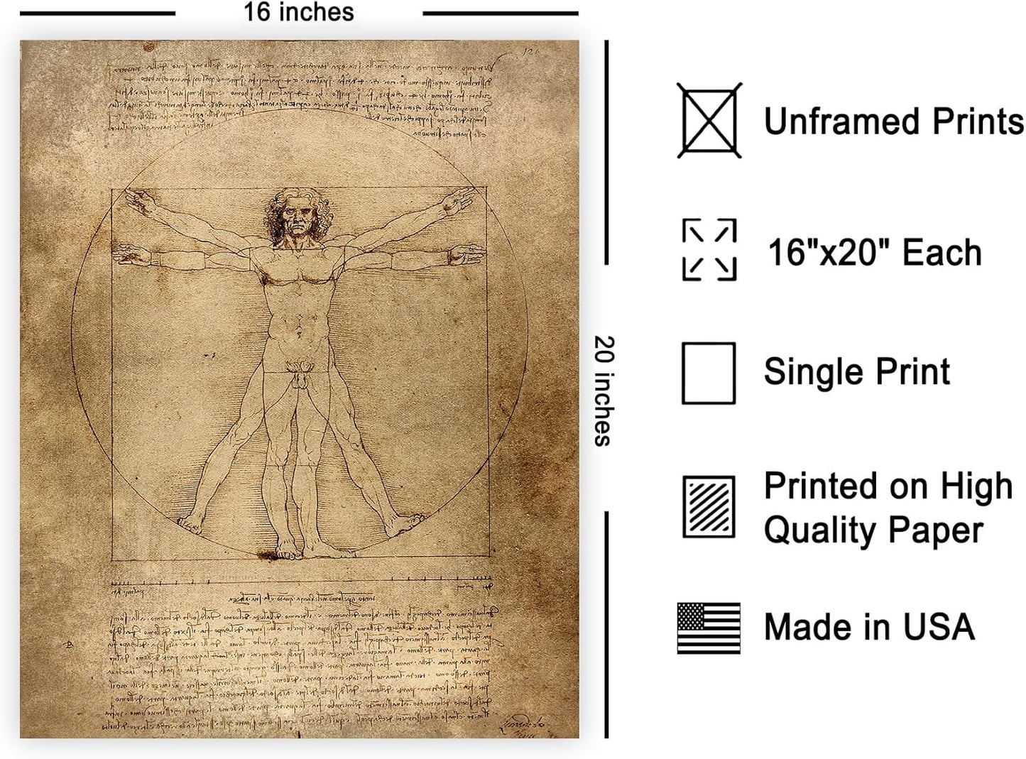 Poster Master Vintage Leonardo Da Vinci Poster - Retro Vitruvian Man Print - Drawing Art - Renaissance Art - Gift for Men & Women - Decor for Living Room, Bedroom or Office - 16x20 UNFRAMED Wall Art