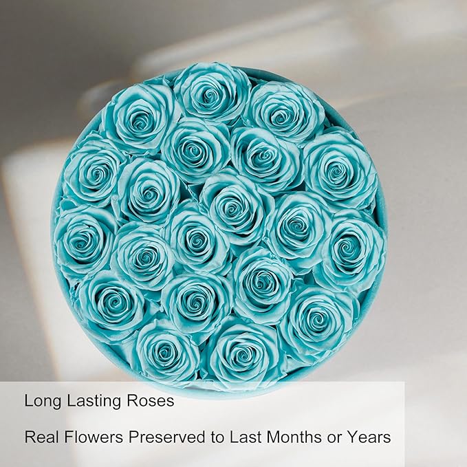 Gifts for Women Preserved Roses Flower Box, Luxury Velvet Box with 20 Roses, Preserved Flowers, Romantic Gift for Her, Wife, Girlfriend, Birthday Anniversary Christmas (Teal Blue)