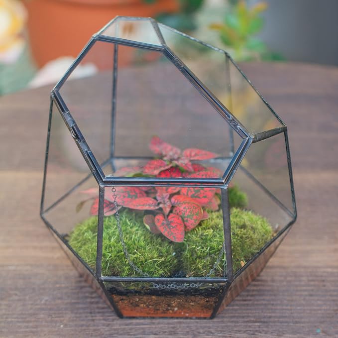 NCYP Handmade 7.5inches Small Close Geometric Terrarium with Door, Black Irregular Glass Planter, Modern Succulent Cacti Flower Pot, Home Garden Decor DIY Gift (Plants and Props NOT Included)