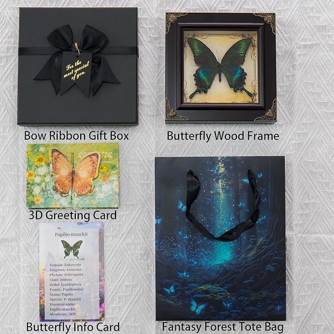 Handmade Real Butterfly Taxidermy Framed - 5-Piece Gift Set for Mother's Day - Gothic Home Decor and Vintage Frame - Butterflies Taxidermy Shadow Box Collection (Great Nawab Butterfly)