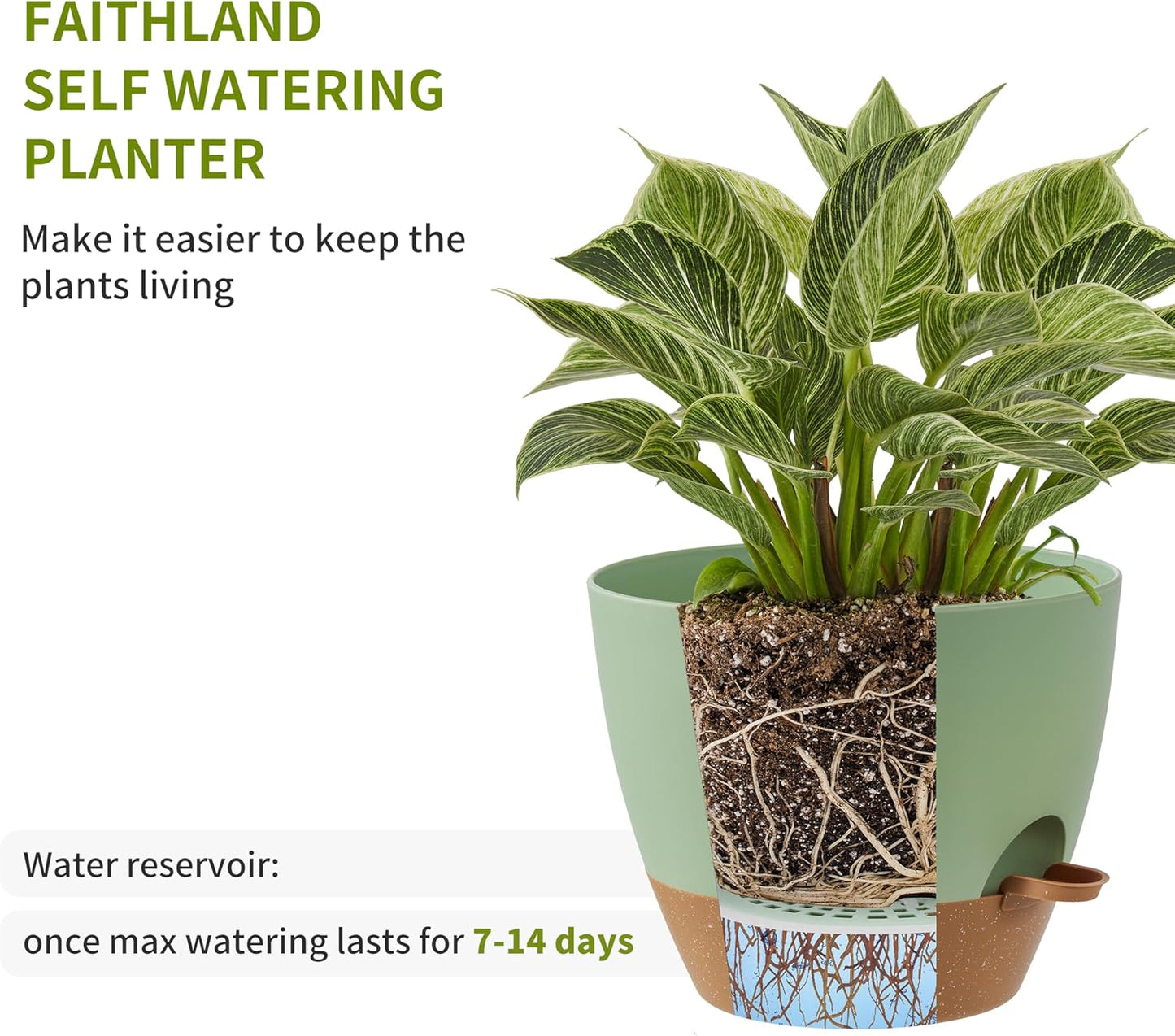 FaithLand 3-Pack Large Planter Pots, 12 10 9 Inch Self Watering Flower Pots for Indoor Outdoor Garden Plants, Green with Brown