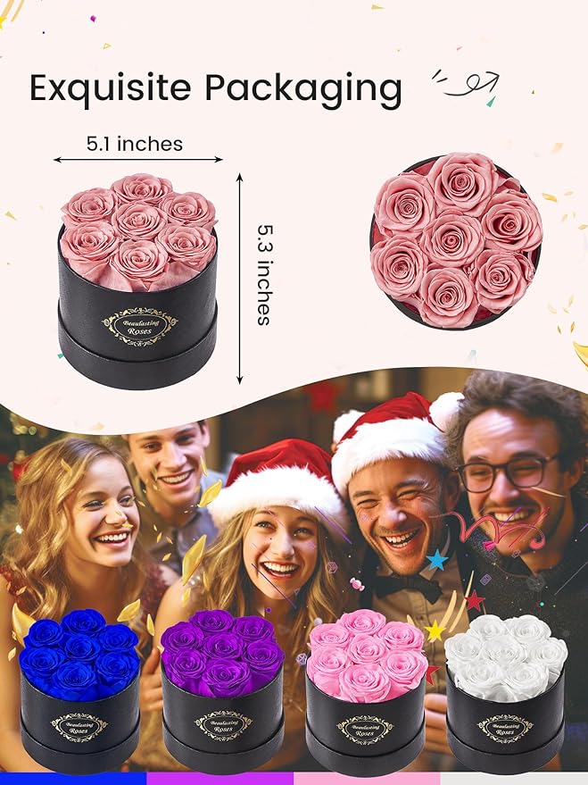 Beaulasting Long Lasting Preserved Roses in a Box Last a Year Forever Flowers for Her Mom Wife Anniversary Birthday (Round Black Box, Dusty Pink)