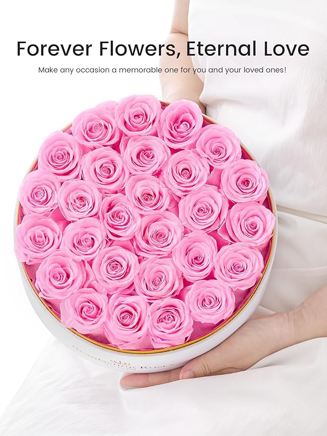 27 Preserved Roses Forever Flowers Real Roses in a Box Mother's Day Birthday Flowers for Her Mom Women Wife Valentine's Day, Light Pink Roses