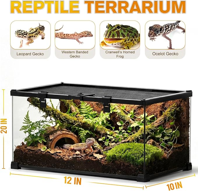 20"x12"x10" Reptile Terrarium, Escape-Proof Glass Terrestrial Vivarium for Small Desert Reptiles Such as Leopard Geckos, with Escape-Proof Lock & Feeding Hatch