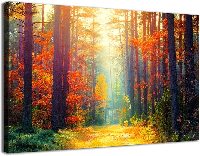 Fall Pictures Wall Decor for Living Room Bedroom Panorama Autumn Forest Wall Art Nature Landscape Sunset Scene Canvas Prints Fall Orange Birch Trees Paintings Modern Artwork Home Decorations 16x24”