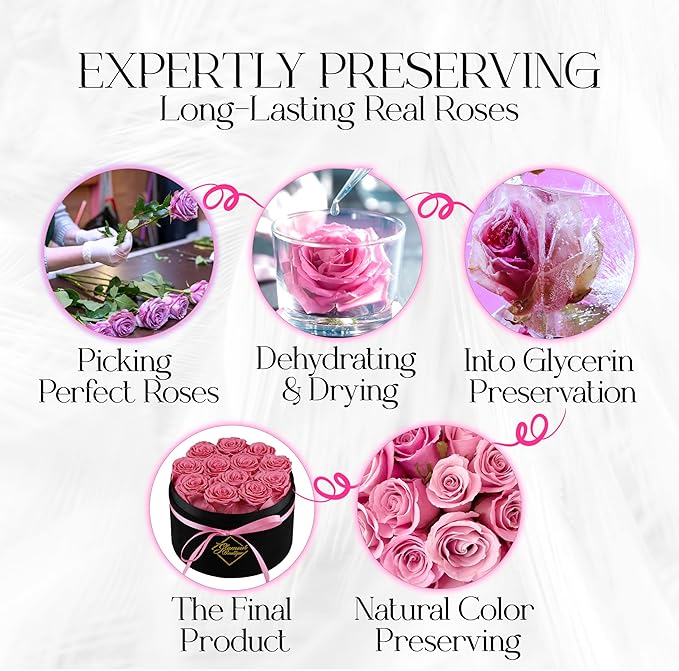 GLAMOUR BOUTIQUE Flowers Forever Gift Box, 12 Real Preserved Roses in Velvet Black Box, Floral Gift for Her, Mom or Wife for Birthday, Mother’s Day, Anniversary or Graduation, Pink (Color-Treated)