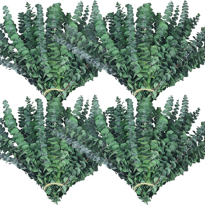 60 Stems Preserved Real Eucalyptus Bunches, Lifelike Natural Green Eucalyptus Leaves for Shower, Maintenance-Free Dried Florals for Vase Fillers, Wedding Centerpieces, Bathroom Home Office Decor