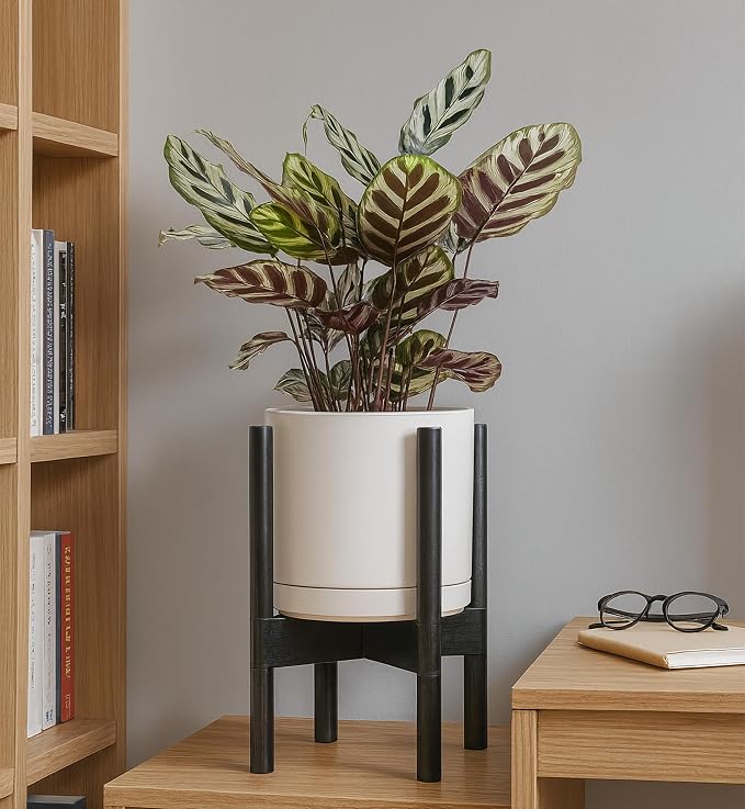 D'vine Dev Ceramic Planter with Ebony Stand - 8 Inch Modern Round Flower Pot with Wood Planter Holder, Oatmeal, 55-B-M-8