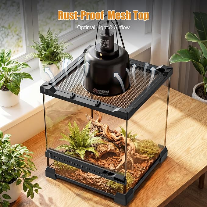 6 Gallon Fully Assembled Glass Reptile Enclosure,10"x 10" x 14" | Front Opening Tall Reptile Terrarium Tank for Baby Crested Geckos, Tree Frogs, Praying Mantises, Jumping Spiders