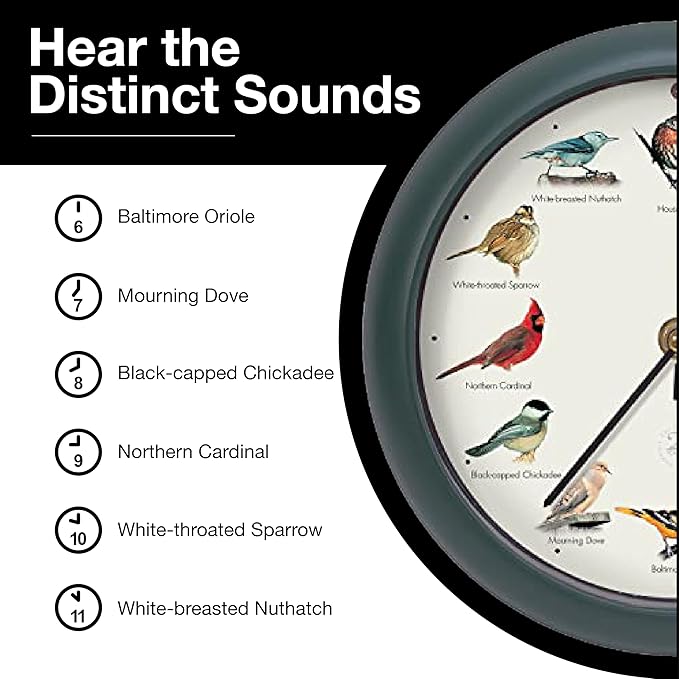 Mark Feldstein, The Original Singing Bird Clock, 25th Anniversary Edition, 8 Inch, Green