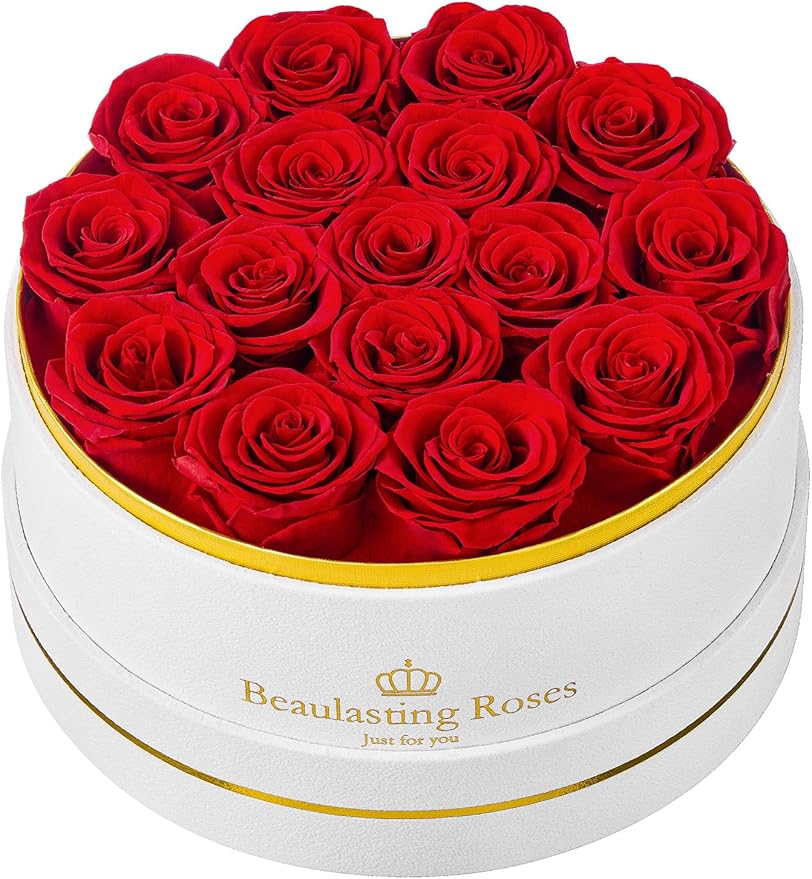 16 Preserved Roses Forever Flowers Real Roses in a Box Mother's Day Birthday Flowers for Her Mom Women Wife Valentine's Day, Red Roses