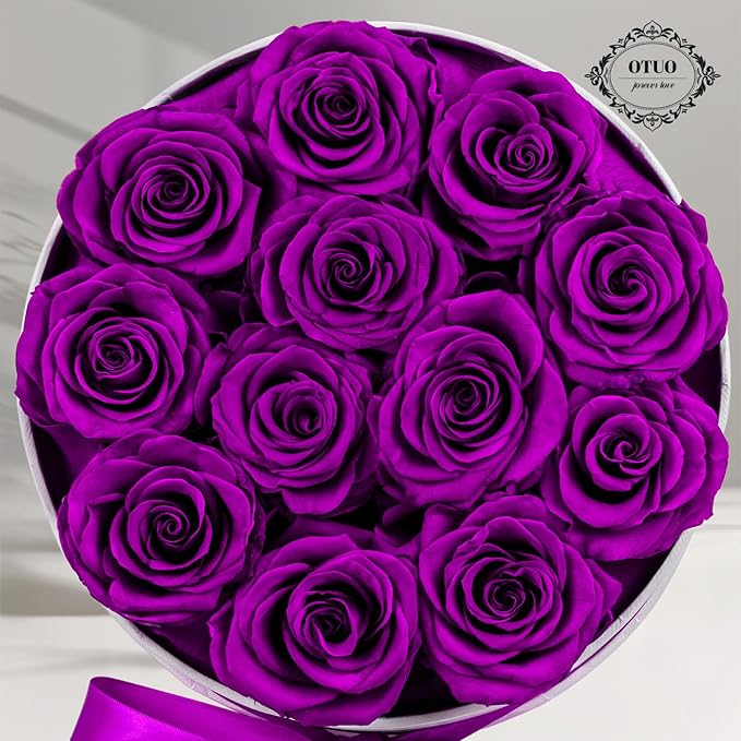 12 Piece Preserved Roses in a Box - Forever Flowers for Delivery Prime, Eternal Roses Mothers Gifts for Mom, Valentine's Day, Wife Anniversary Birthday Gifts for Women(Purple)