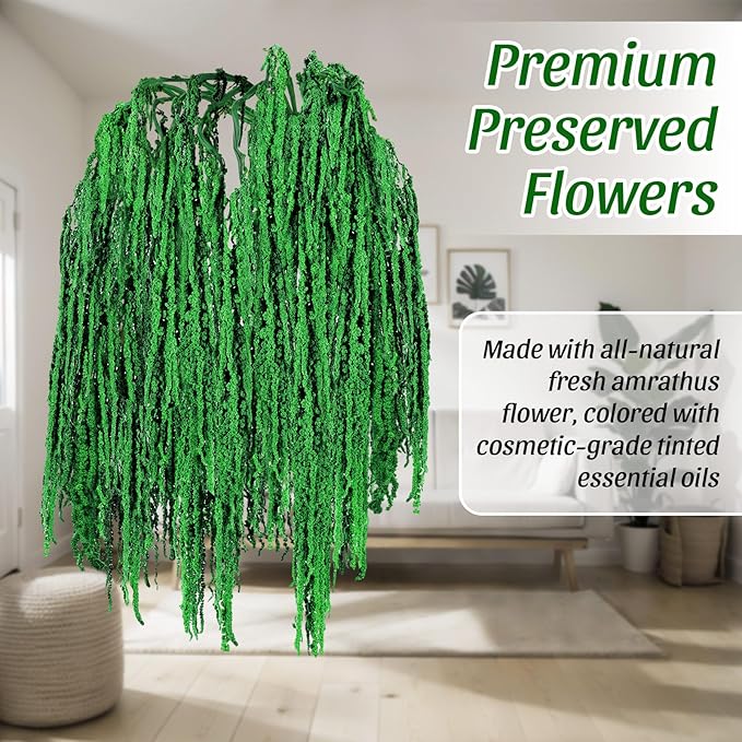 Suncalla 12 Pcs Dark Green Spring Natural Dried Amaranthus Hanging Flowers Amaranthus Artificial Flowers for Wedding Arch Bouquet Floral Garland Wall Home Decoration (23 Inch)