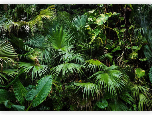 artgeist Wall Mural Tropical 79"x55" XXL Peel and Stick Self-Adhesive Wallpaper Removable Large Sticker Foil Wall Decor Print Picture Image Design