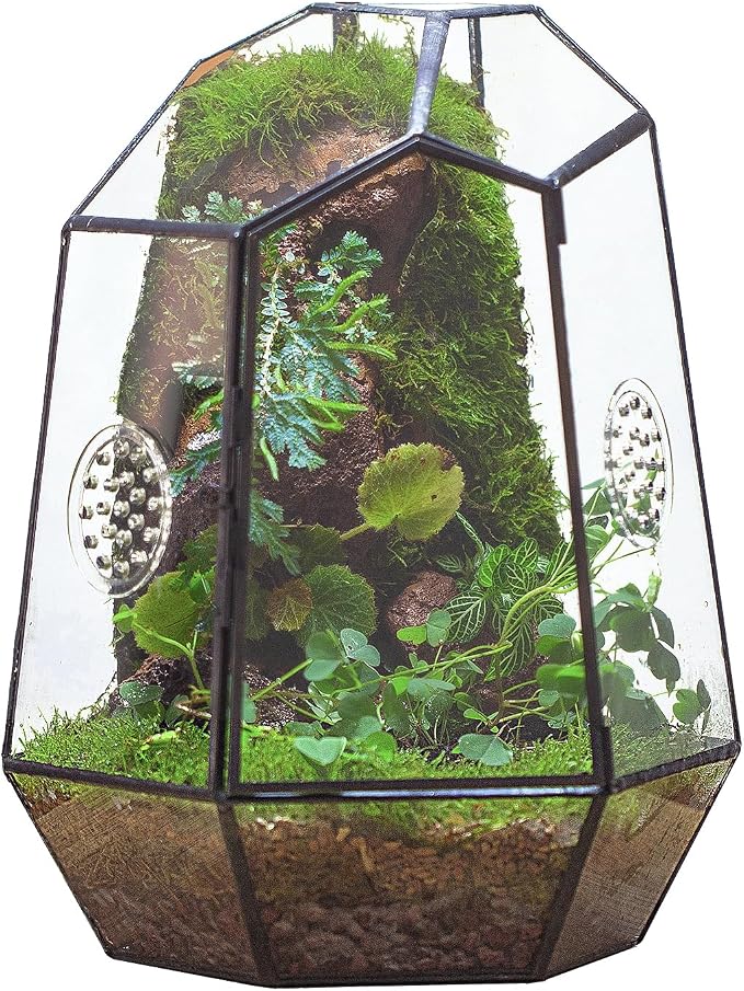 NCYP Closed Geometric Glass Enclosure with Front Opening Door & 2 Vent Holes for Insects, Snail, Moss, Fern - 7.9"x6.9"x9.8" Black Irregular Terrarium - Home Garden Tabletop Decor (No Plants)