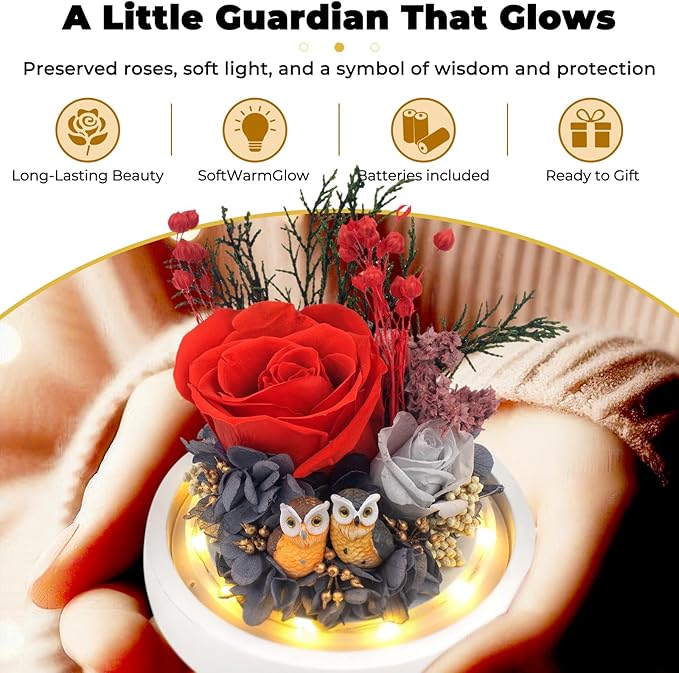 Flowers, Roses Gift - Preserved Flowers & Preserved Roses Gift for Women, Rose Arrangement that Lasts Forever – Birthday Gift for Women,Mother’s Day &Valentine, Flower for Delivery- Ruby red