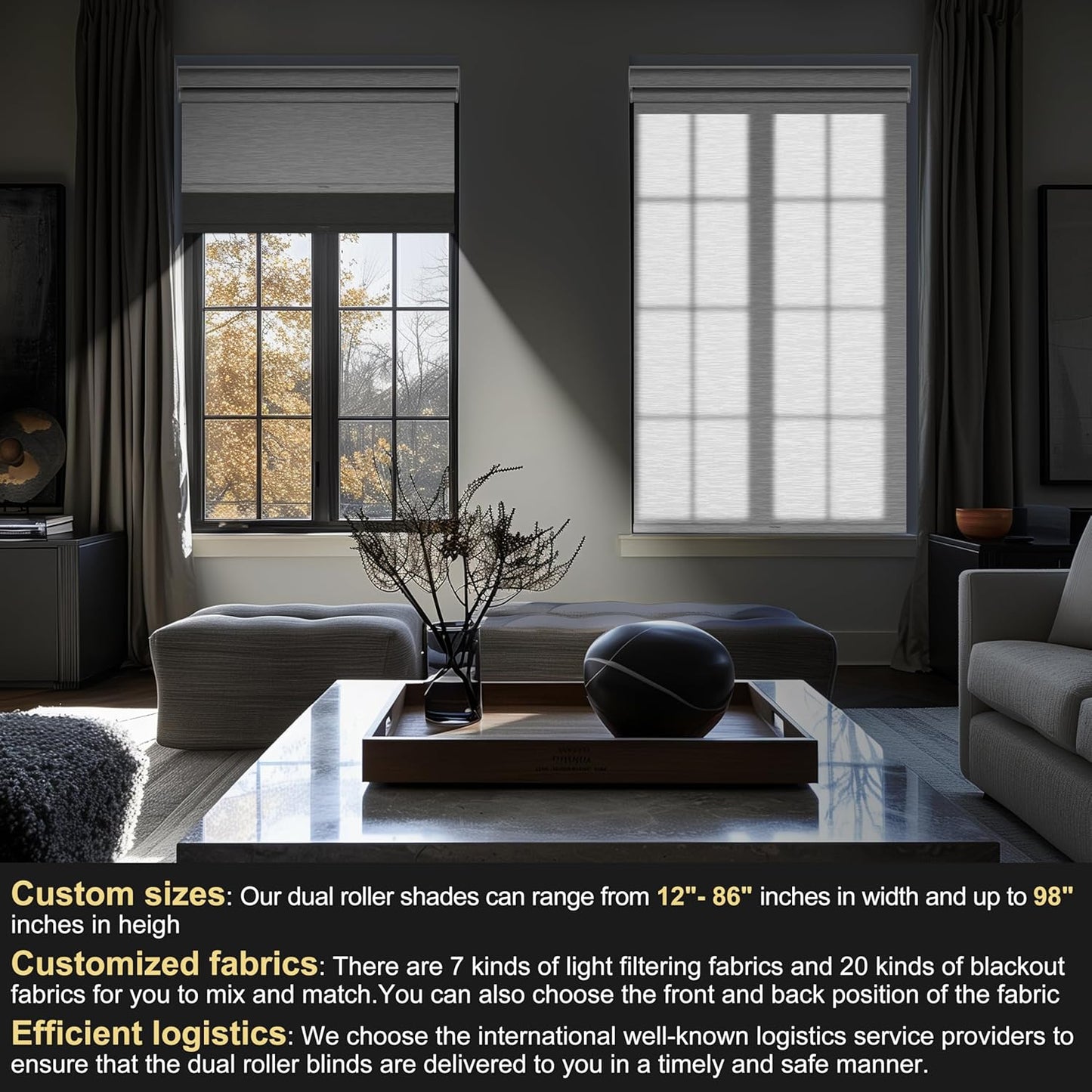 BERISSA Cordless Dual Roller Shades with Cassette Valance, Double Window Shades - Blackout and Light Filtering, Day and Night for Home Office Door. Grey and White. 46 W x 48" H