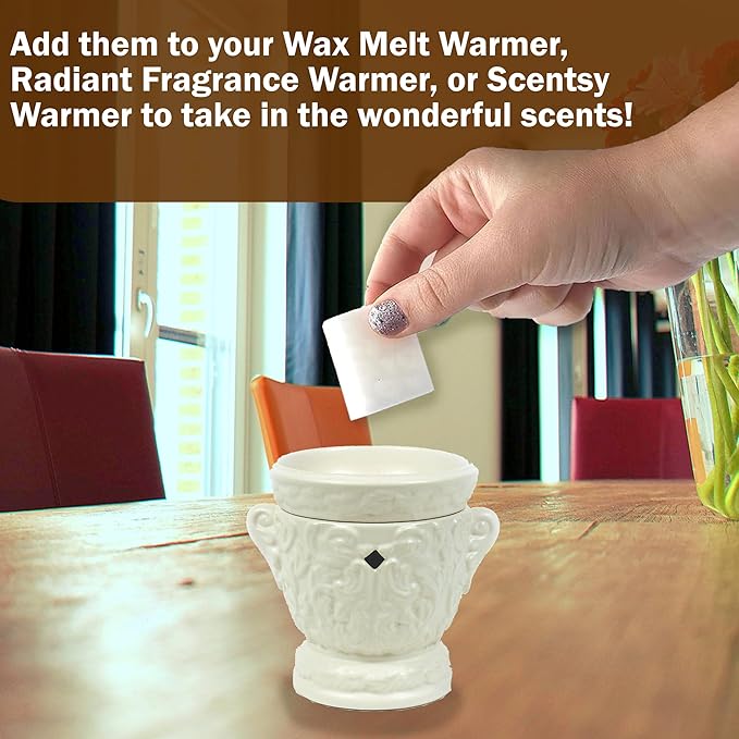 Tyler Candle Mixer Melts, Diva Scent, Set of 8 Scented Wax Tarts for Wax Warmers (6 Tarts per Bar, 48 Tarts Total)- Bundle with a Stain Remover Pen - Wax Melt Warmer for Home Fragrance