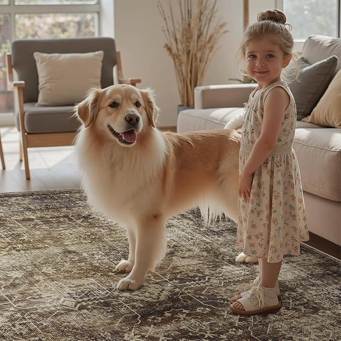 DCX Washable 6x9, Kid & Pet Friendly with Rubber Back Non Slip, Stain Resistant Vintage Rug for Living Room, Bedroom, Home Office, Soft Low Pile Large Farmhouse Distressed Carpet, Brickred