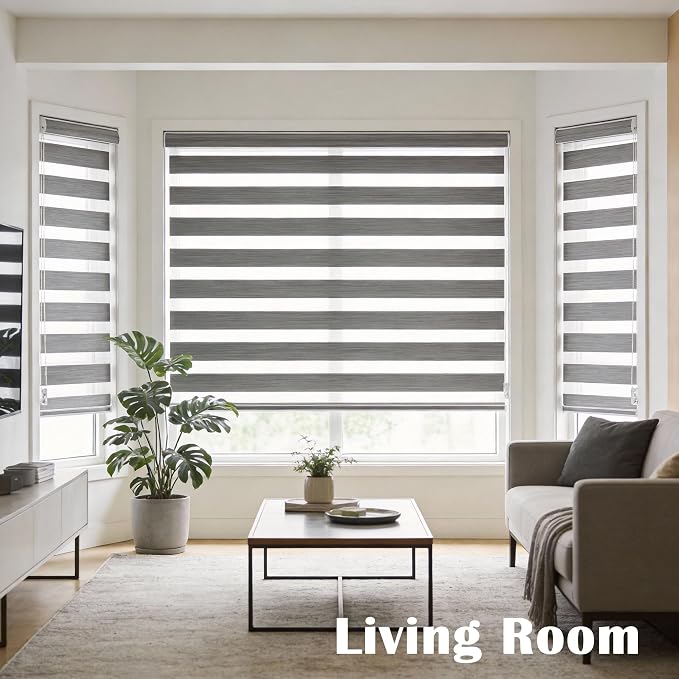 Zebra Blinds Window Blind Zebra Shade Blinds for Windows Roller Sheer Shades Privacy Light Filtering Shades for Home Kitchen Bathroom (Width 66'' X Height 72'' Grey)