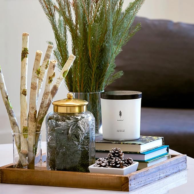 Archipelago Botanicals Aspen Luxe Candle, Aspen Bark, Amber and Musk Scent, Elegant White Glass Jar Candle, Coconut Wax, Double Wicks Burn 100 Hours (13 oz)