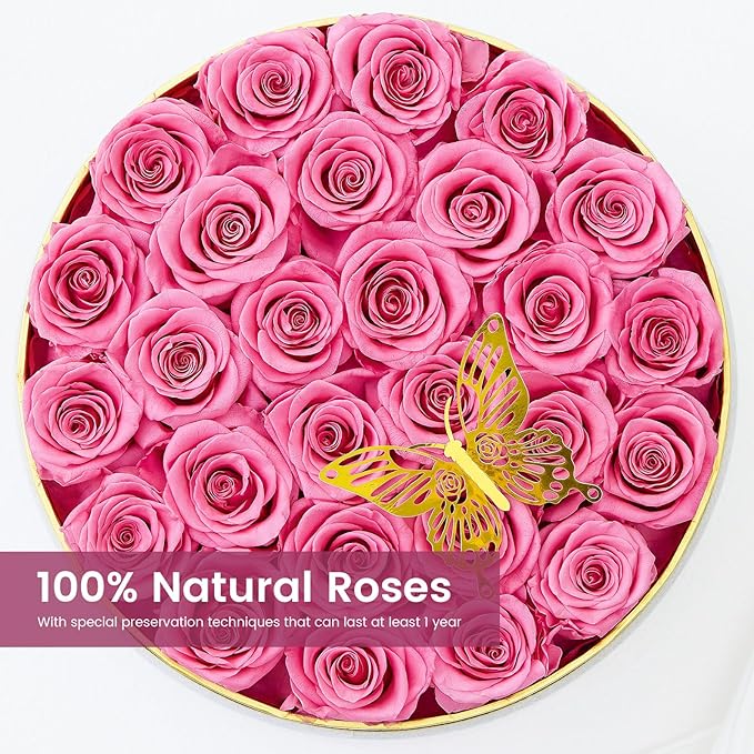 27 Preserved Roses Forever Flowers Real Roses in a Box Mother's Day Birthday Flowers for Her Mom Women Wife Valentine's Day, Pink Roses