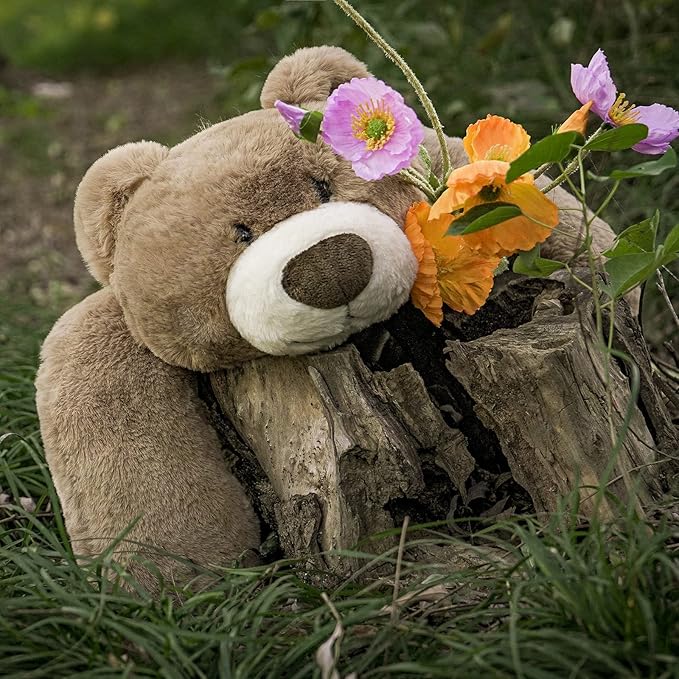 Niuniu Daddy 24" | 5 Pound Weighted Teddy Bear Stuffed Animals for Adults Kids, Large Bear Plush Toy, Cute Brown Bear Body Pillow with Soft Fur for Christmas Birthday Holidays Presents